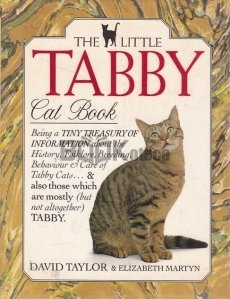 The Little Tabby