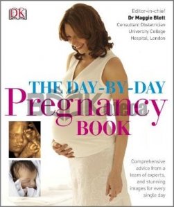 Day-by-Day Pregnancy Book