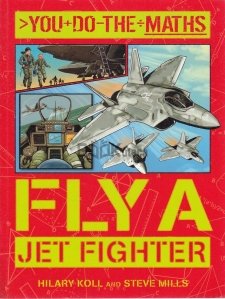 Fly a jet fighter