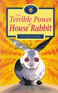 The Terrible power of House Rabbit