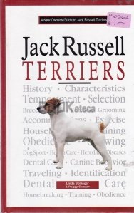 A New Owner's Guide to Jack Russell Terriers