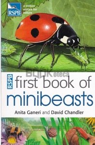 First Book of Minibeasts