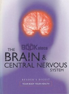 The Brain & Central Nervous System