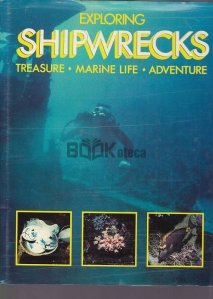 Exploring Shipwrecks