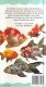 An Interpet Guide to Fancy Goldfish