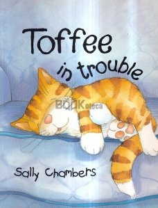 Toffee in Trouble