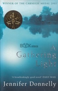 A Cathering Light