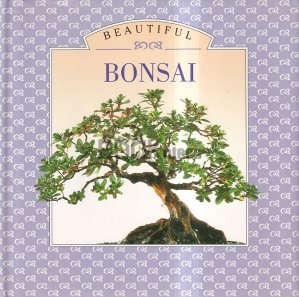 Beautiful Bonsai