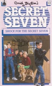 Shock For the Secret Seven