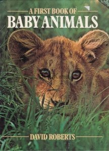A First Book of Baby Animals
