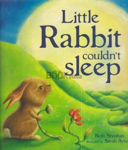 Little Rabbit Couldn't Sleep