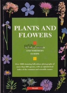Plants and Flowers of Great Britain and Northern Europe